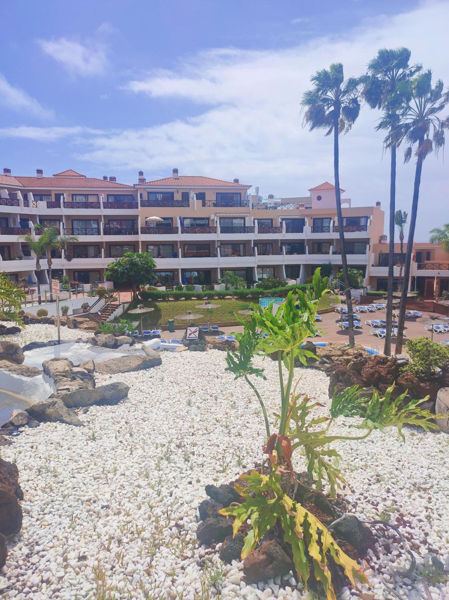 Lovely Apartment Top Views, Heated Pool, Great Location سان ميغيل ذي أبونا المظهر الخارجي الصورة