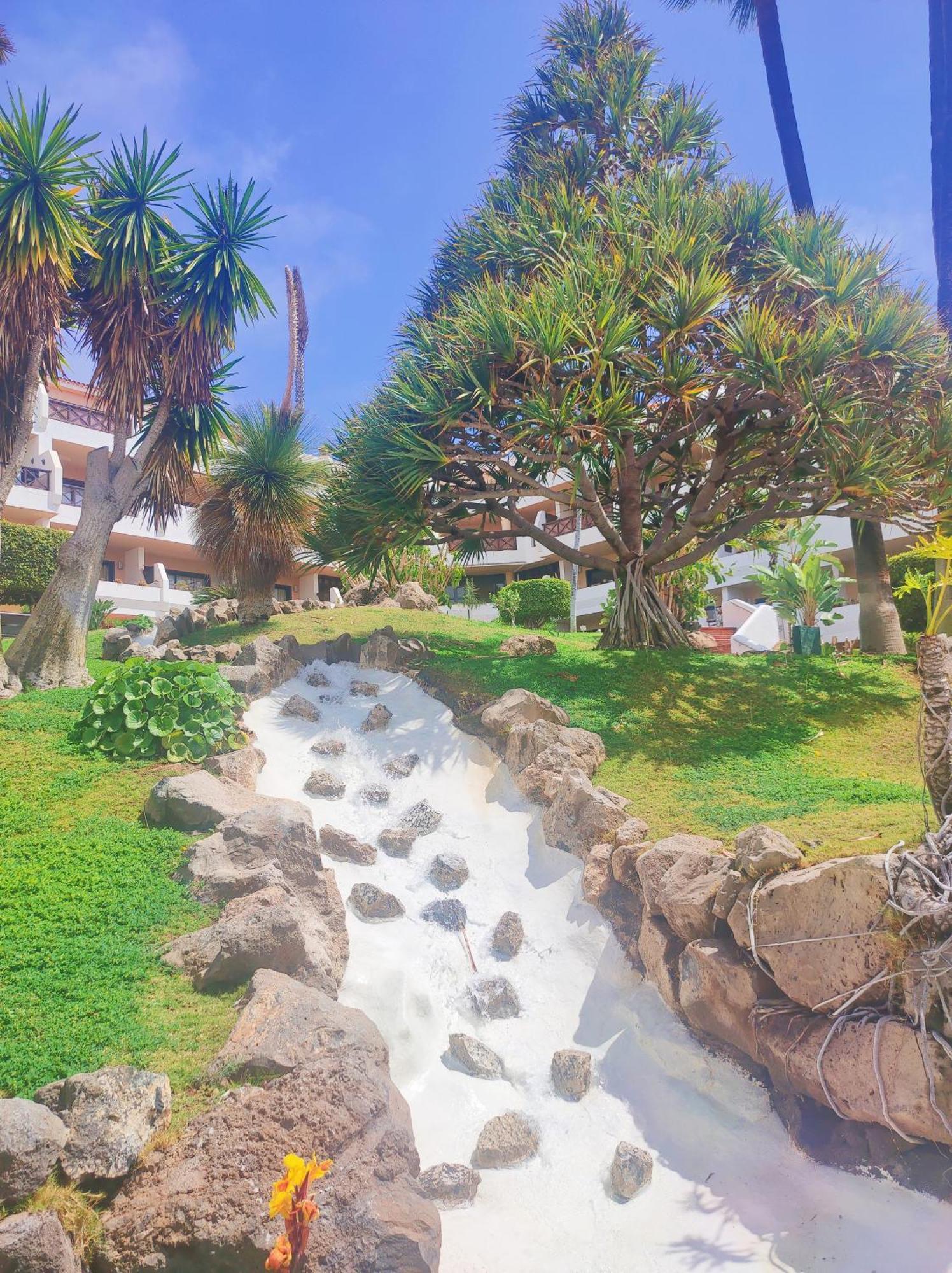 Lovely Apartment Top Views, Heated Pool, Great Location سان ميغيل ذي أبونا المظهر الخارجي الصورة